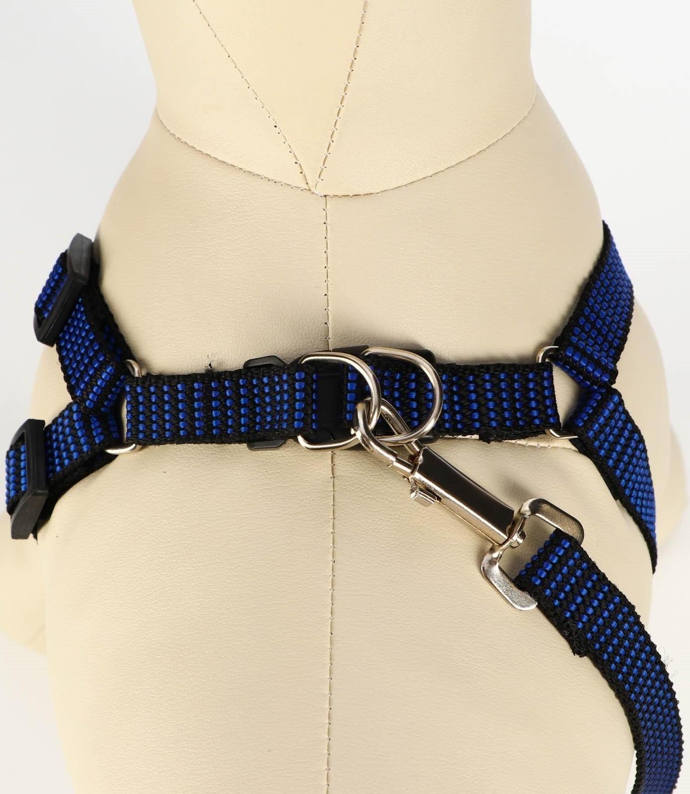 Комплект амуниции рельефный, 1,5 см, шлейка 36-49 см, поводок 120 см, сине-чёрный