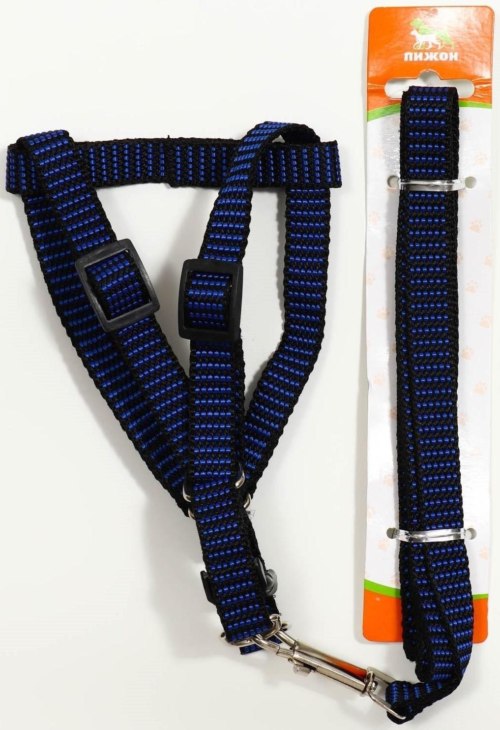 Комплект амуниции рельефный, 1,5 см, шлейка 36-49 см, поводок 120 см, сине-чёрный