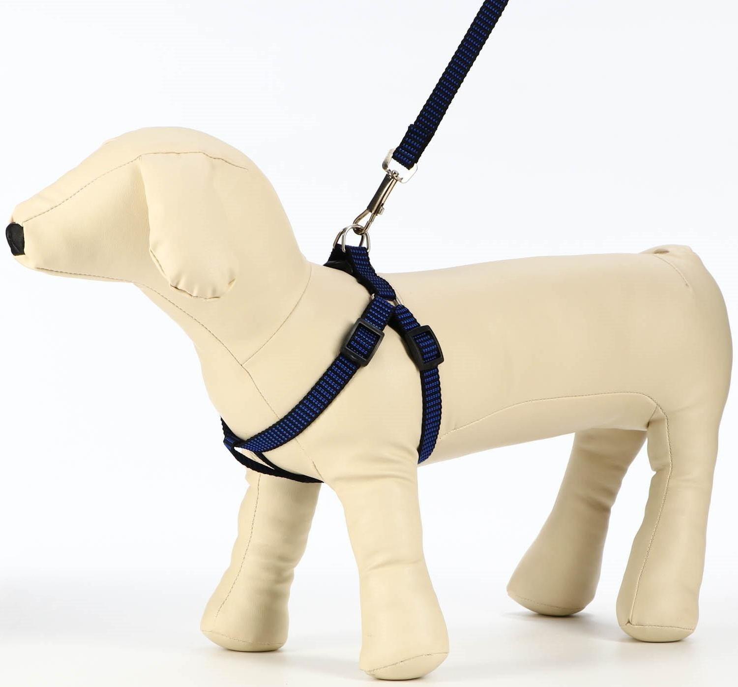 Комплект амуниции рельефный, 1,5 см, шлейка 36-49 см, поводок 120 см, сине-чёрный