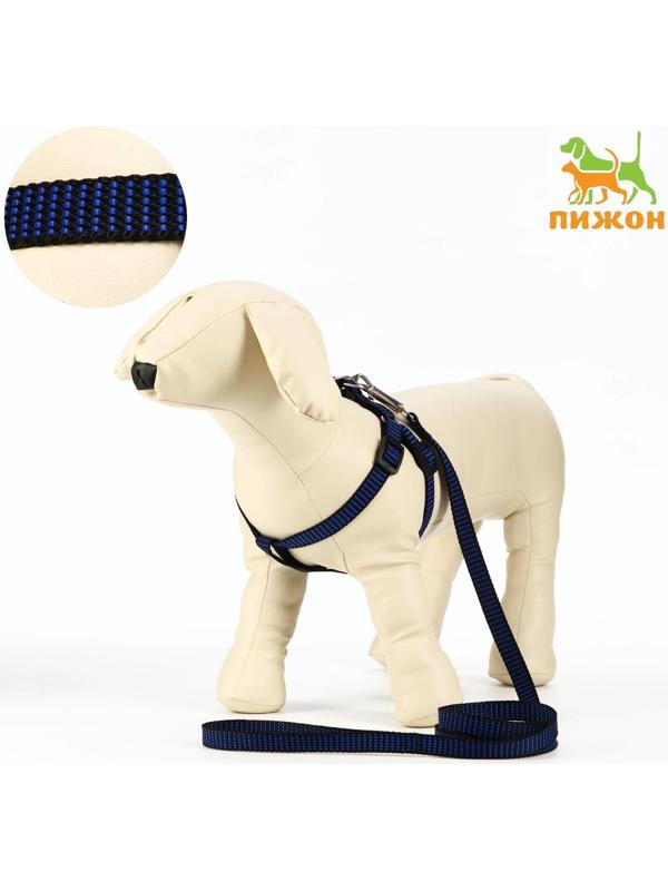 Комплект амуниции рельефный, 1,5 см, шлейка 36-49 см, поводок 120 см, сине-чёрный