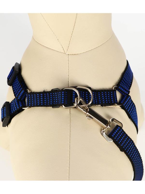 Комплект амуниции рельефный, 1,5 см, шлейка 36-49 см, поводок 120 см, сине-чёрный