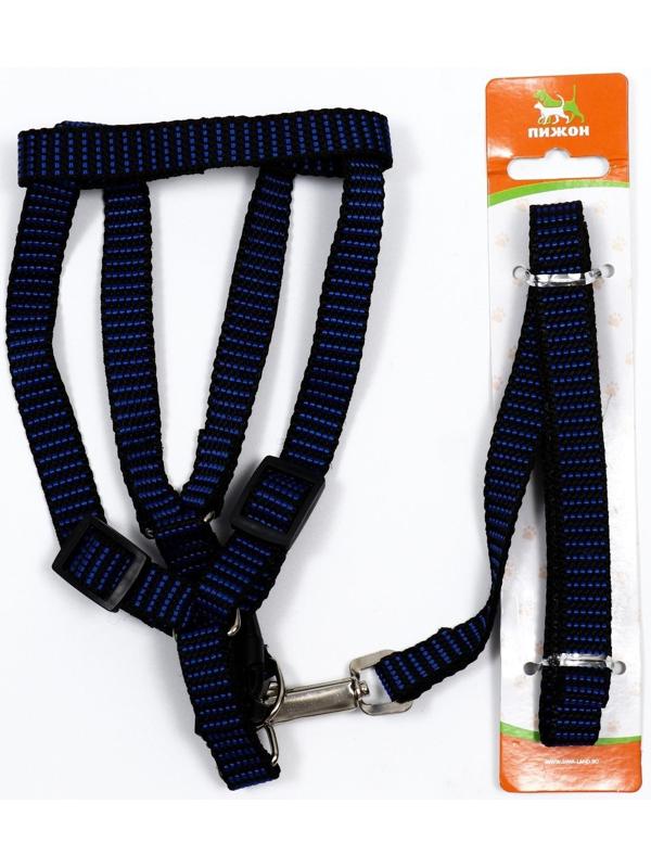 Комплект амуниции рельефный, 1,5 см, шлейка 36-49 см, поводок 120 см, сине-чёрный