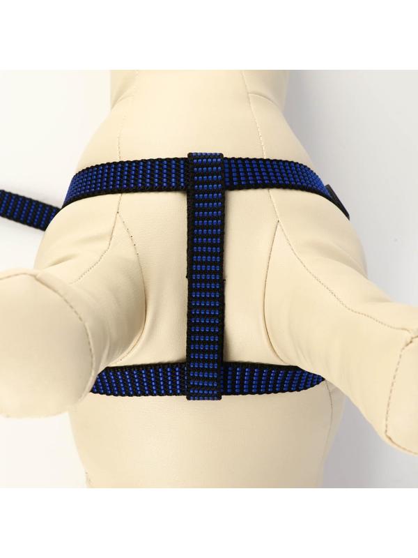 Комплект амуниции рельефный, 1,5 см, шлейка 36-49 см, поводок 120 см, сине-чёрный