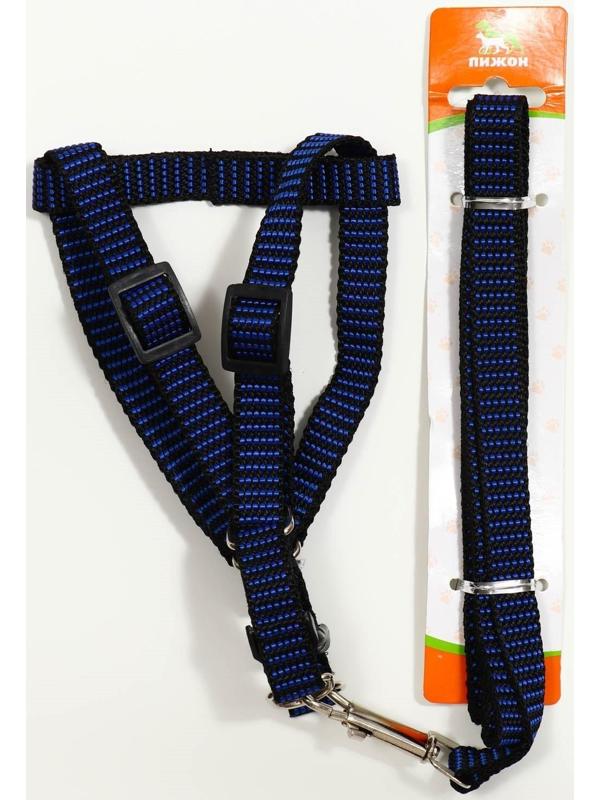Комплект амуниции рельефный, 1,5 см, шлейка 36-49 см, поводок 120 см, сине-чёрный
