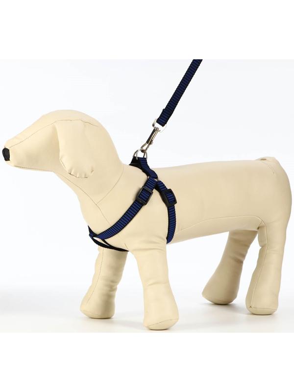 Комплект амуниции рельефный, 1,5 см, шлейка 36-49 см, поводок 120 см, сине-чёрный