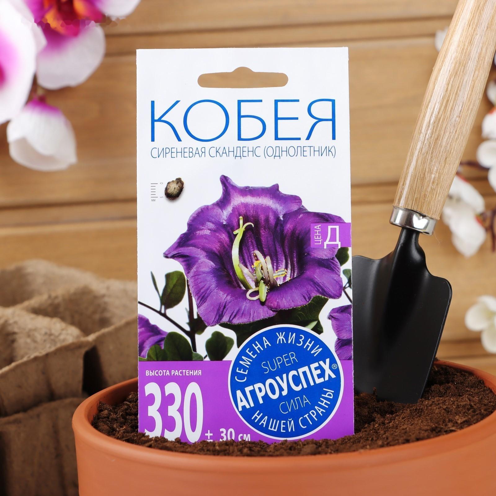 Семена цветов Кобея 