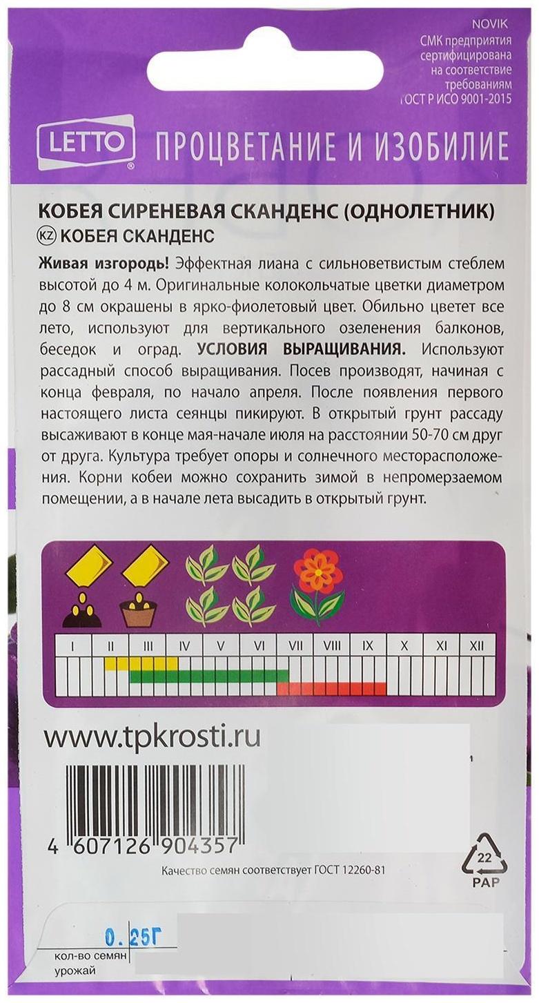 Семена цветов Кобея 