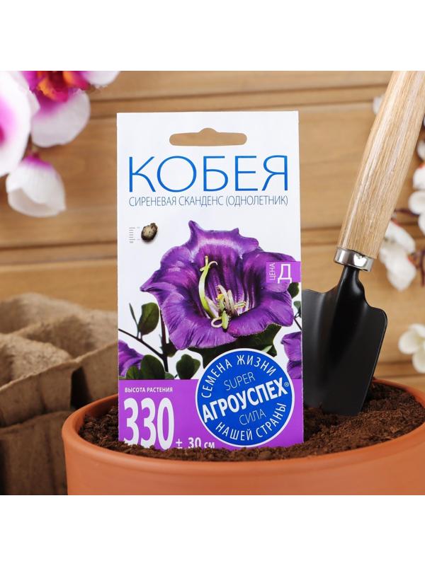 Семена цветов Кобея 