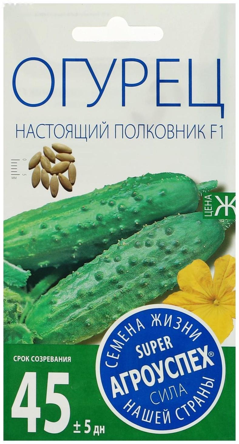 Семена Огурец Настоящий полковник F1, ранний, партенокарпический, 8  шт