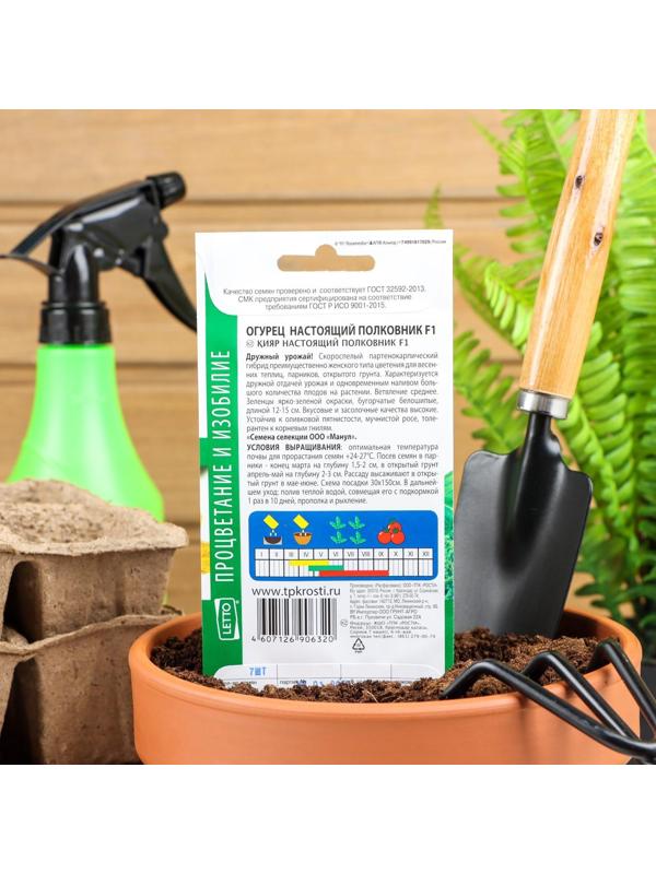 Семена Огурец Настоящий полковник F1, ранний, партенокарпический, 8  шт