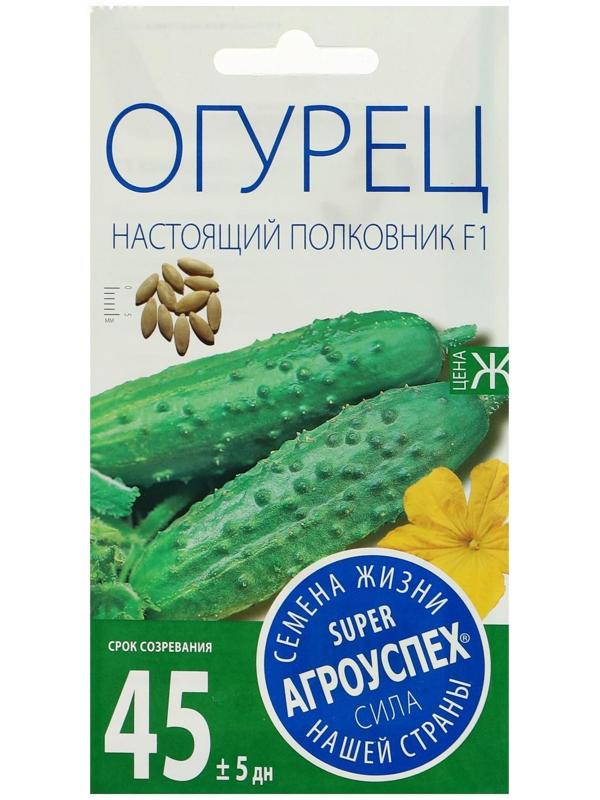 Семена Огурец Настоящий полковник F1, ранний, партенокарпический, 8  шт