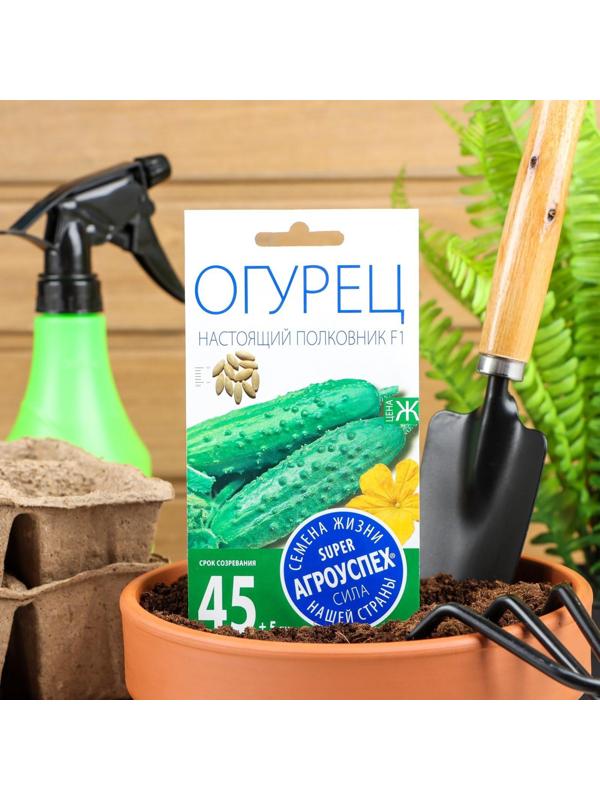 Семена Огурец Настоящий полковник F1, ранний, партенокарпический, 8  шт