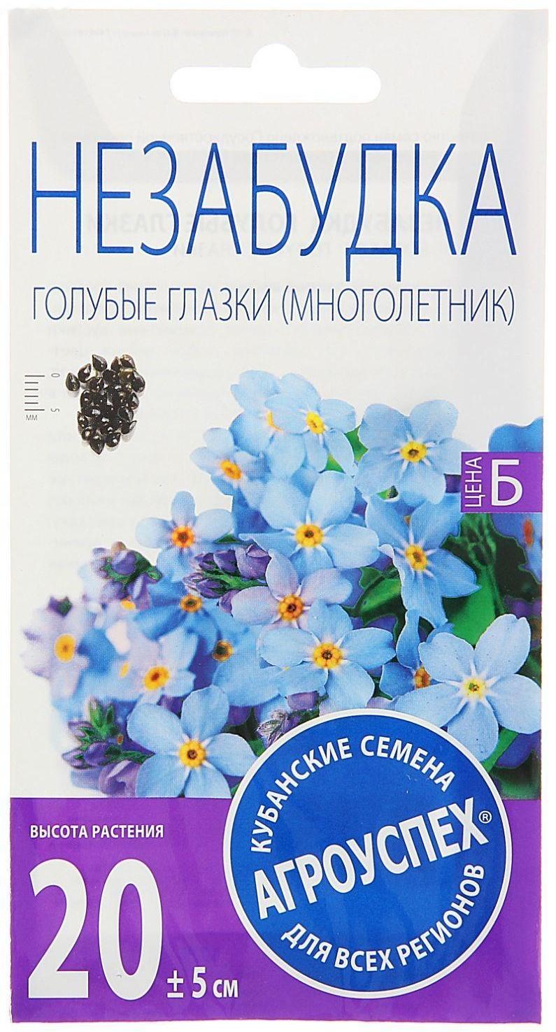 Семена цветов Незабудка 