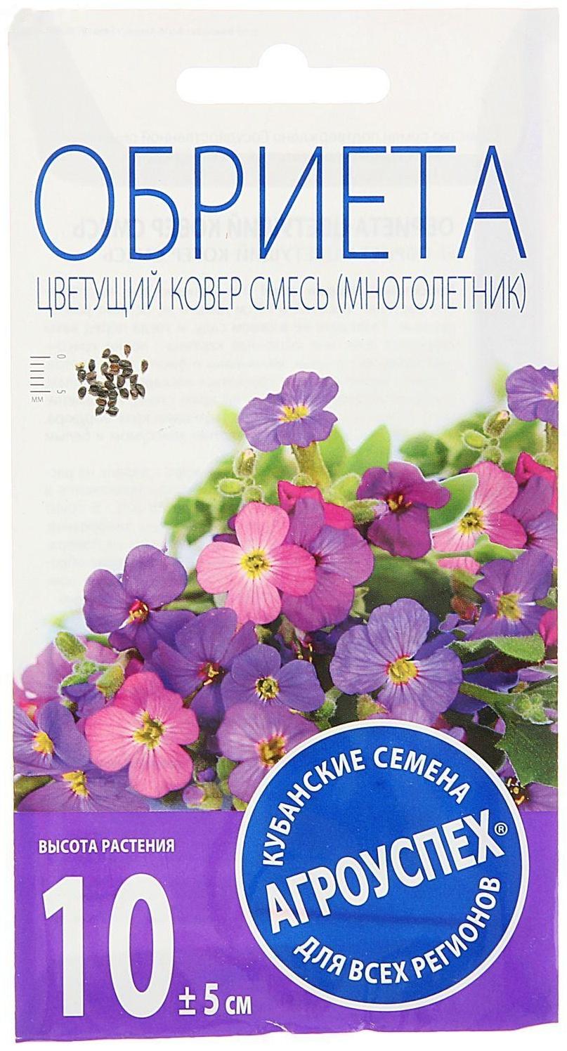 Семена цветов Обриета 