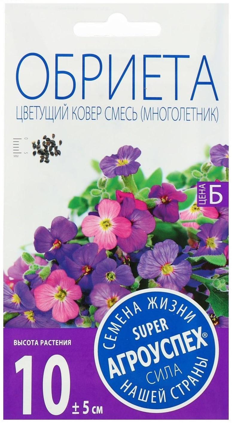 Семена цветов Обриета 