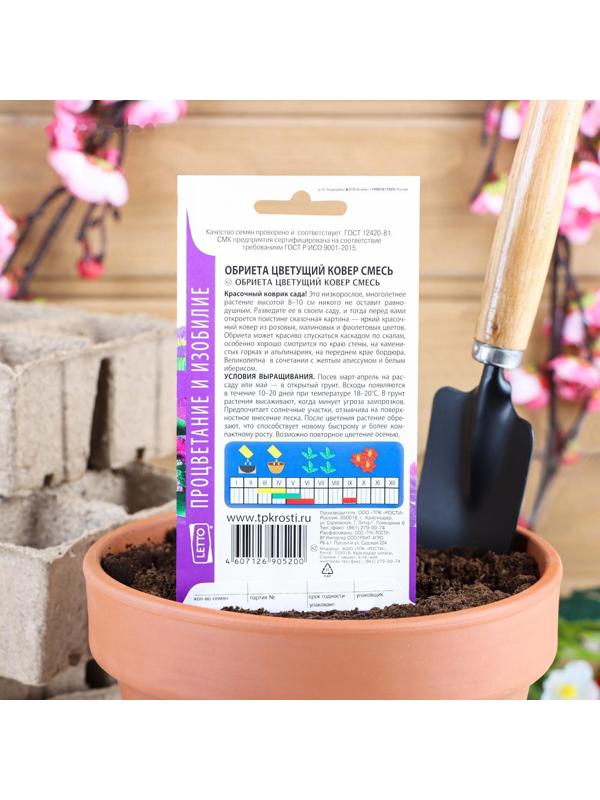 Семена цветов Обриета 