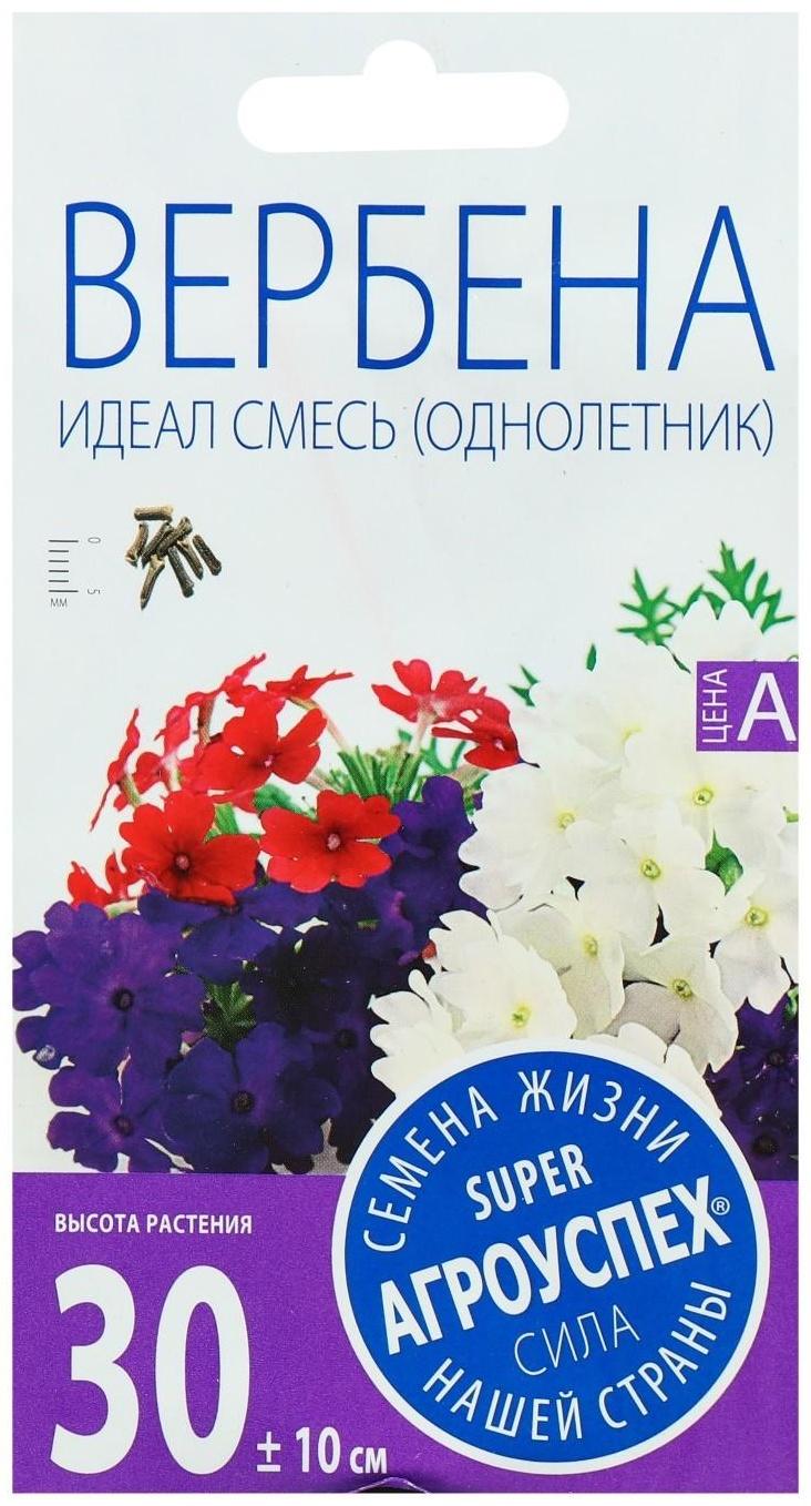 Семена цветов Вербена Идеал, смесь, однолетник, 0,2 гр