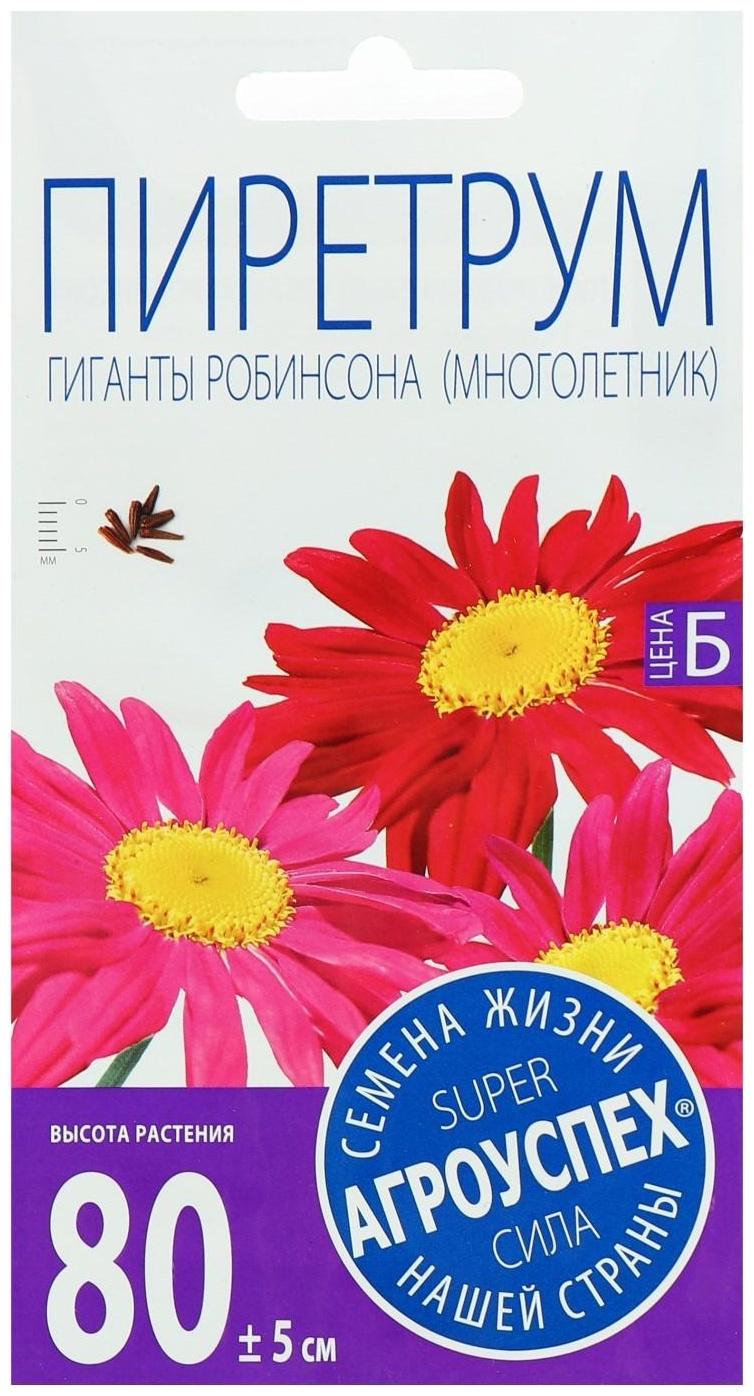 Семена цветов Пиретрум 