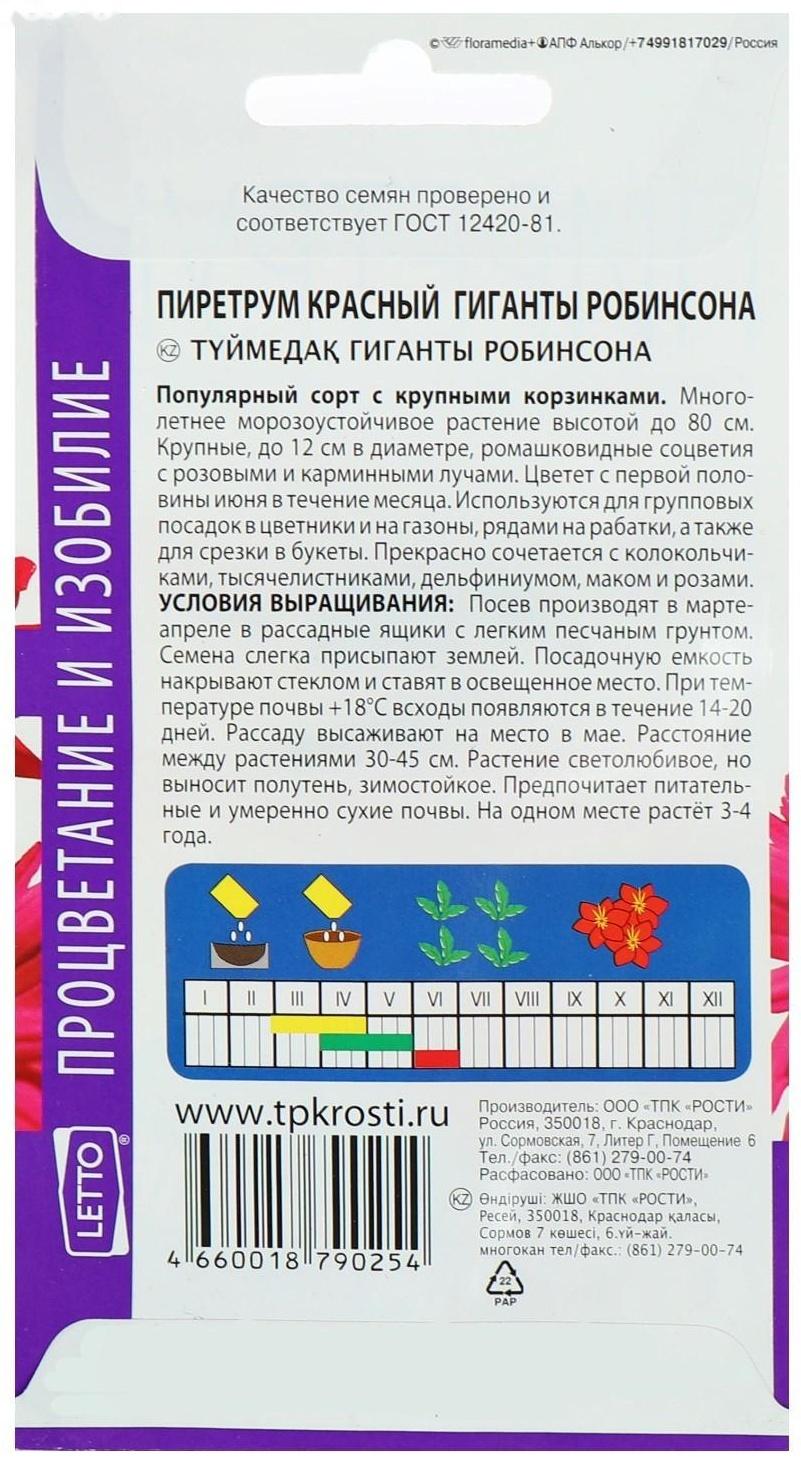 Семена цветов Пиретрум 