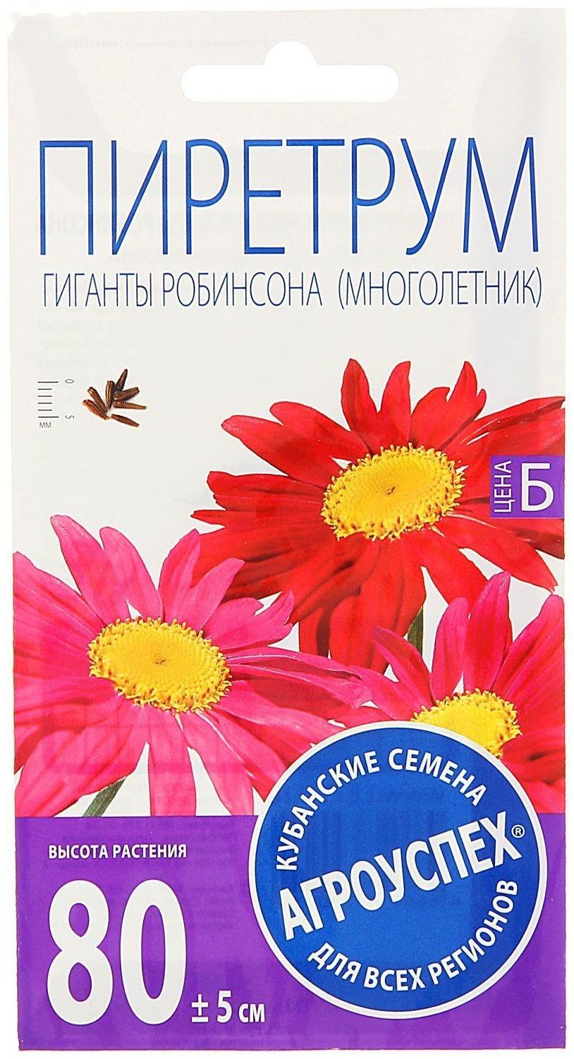 Семена цветов Пиретрум 