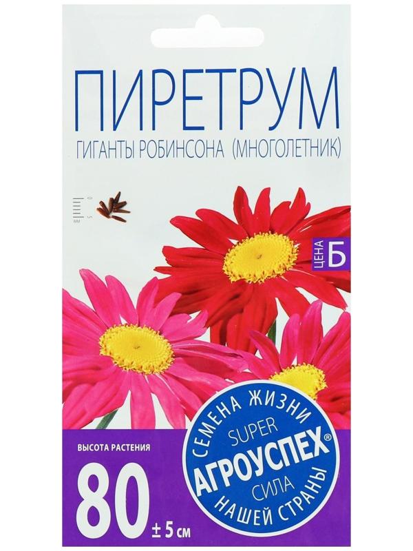 Семена цветов Пиретрум 