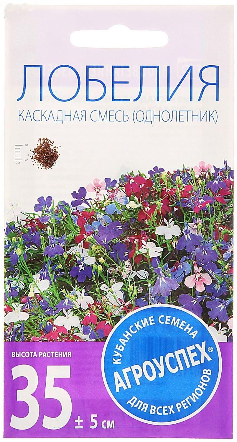 Семена цветов Лобелия Каскадная смесь, однолетник, 0,1 гр
