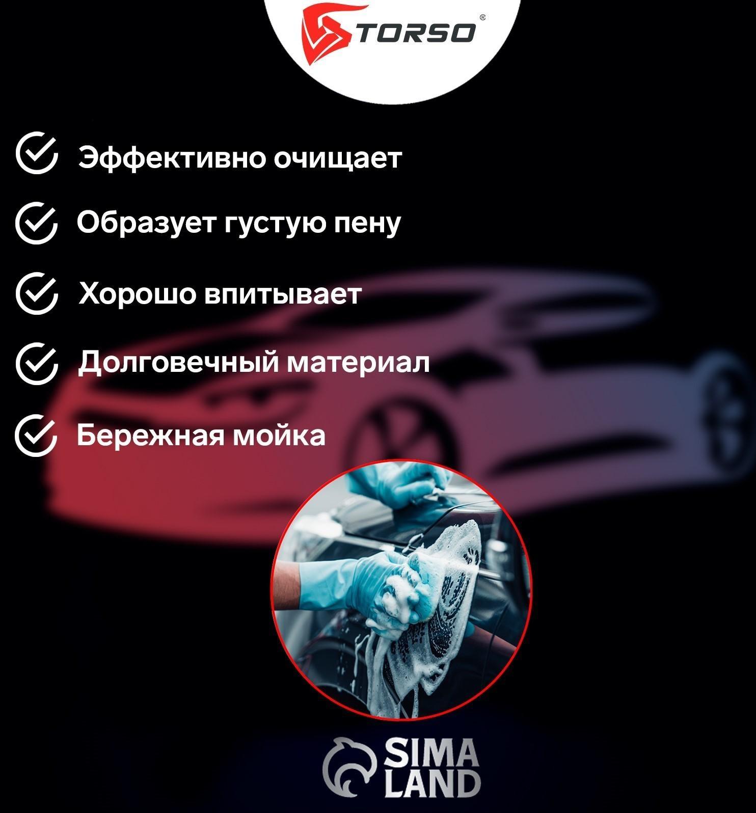 Губка автомобильная TORSO поролоновая, МИКС 190х110х60 мм