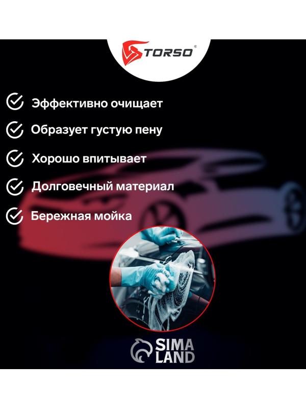 Губка автомобильная TORSO поролоновая, МИКС 190х110х60 мм