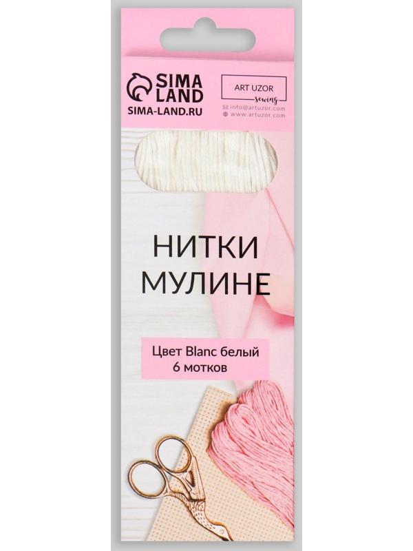 Нитки мулине «Blanc», 8 ± 1 м, цвет белый