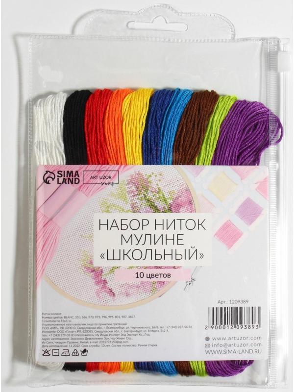 Набор ниток мулине «Школьный», 8 ± 1 м, 10 шт