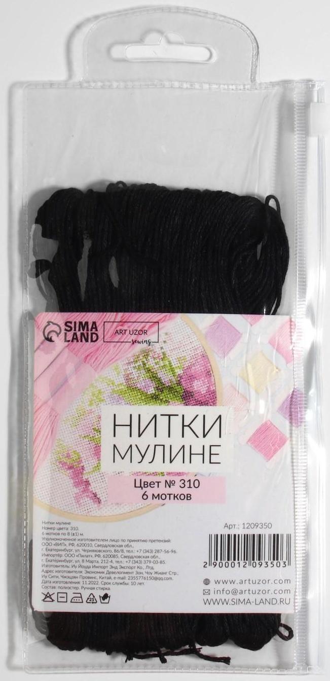 Нитки мулине, 8 ± 1 м, цвет чёрный №310