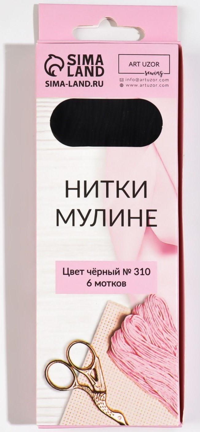 Нитки мулине, 8 ± 1 м, цвет чёрный №310