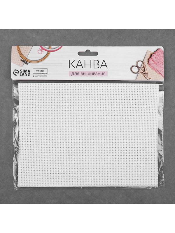 Канва для вышивания №11, 30 × 20 см, цвет белый