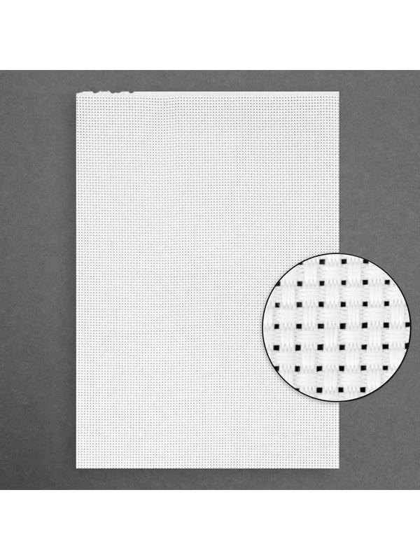 Канва для вышивания №11, 30 × 20 см, цвет белый