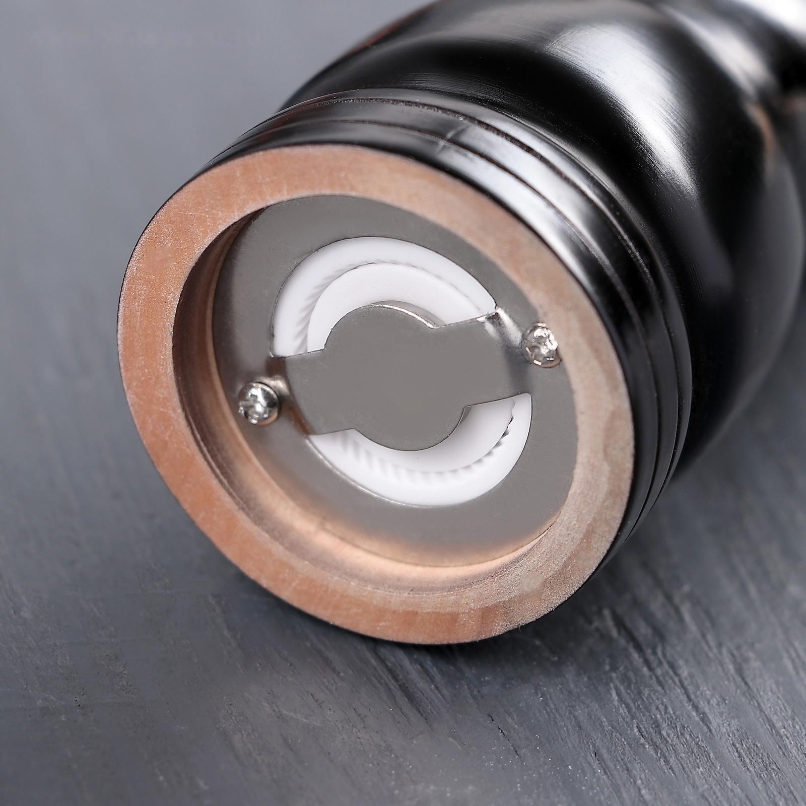 Мельница для специй «Дуновение леса», 10,5×4,5 см, керамический механизм, цвет тёмное дерево