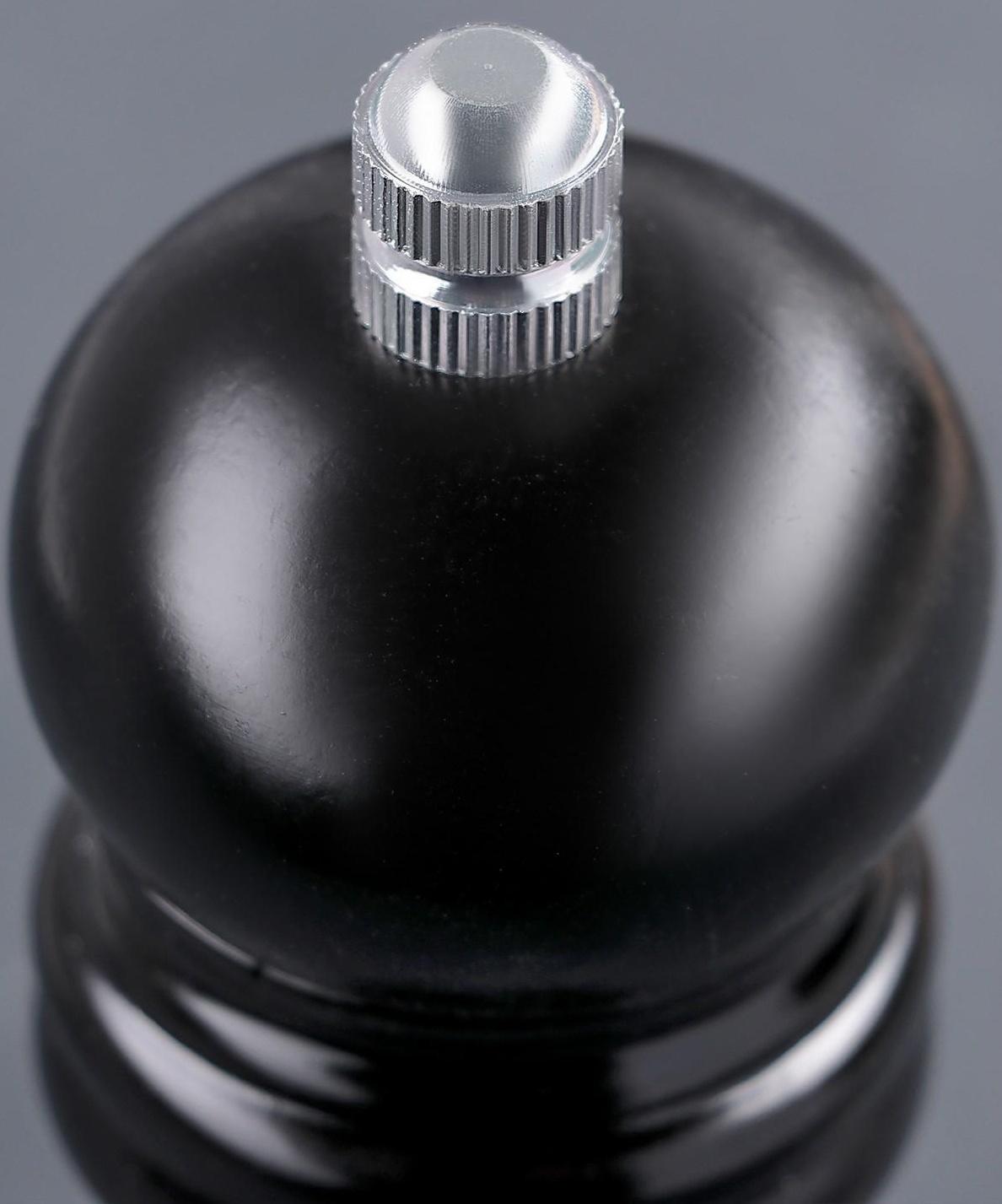 Мельница для специй «Дуновение леса», 10,5×4,5 см, керамический механизм, цвет тёмное дерево