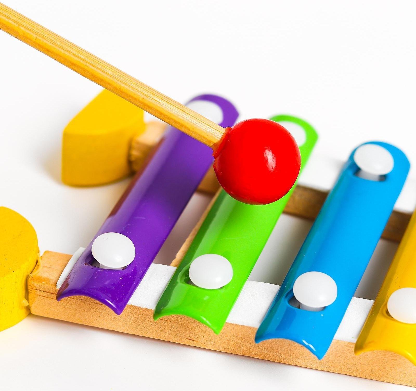 Игрушка музыкальная Металлофон «Бабочка», 5 тонов