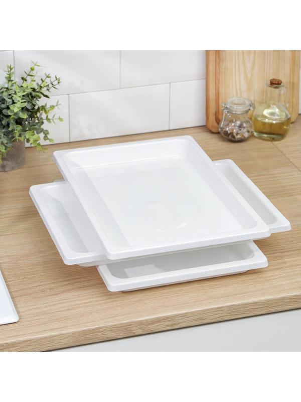 Набор подносов для заморозки пельменей, 36×25×3 см, 3 шт, цвет МИКС