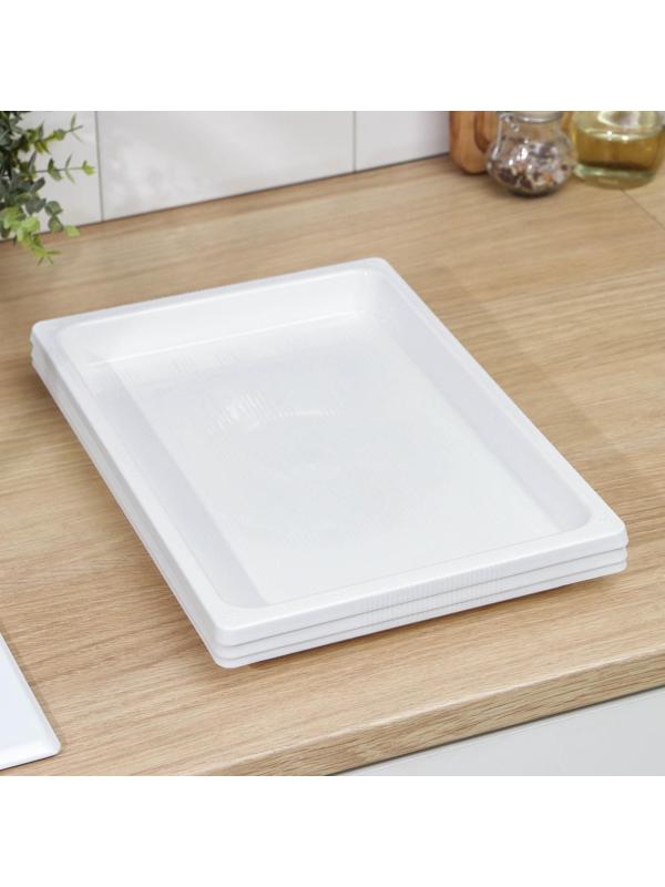 Набор подносов для заморозки пельменей, 36×25×3 см, 3 шт, цвет МИКС