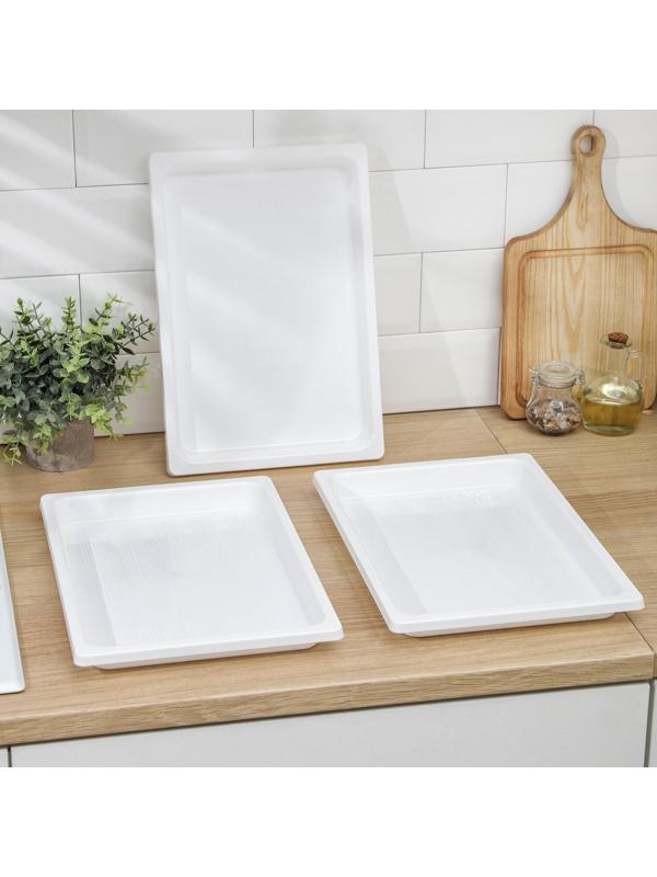 Набор подносов для заморозки пельменей, 36×25×3 см, 3 шт, цвет МИКС