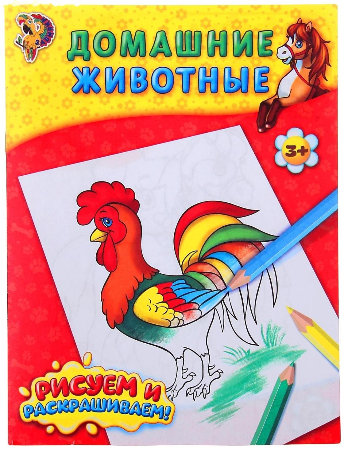 Раскраска «Домашние животные», 12 стр.