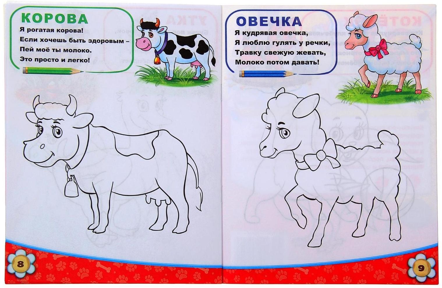 Раскраска «Домашние животные», 12 стр.