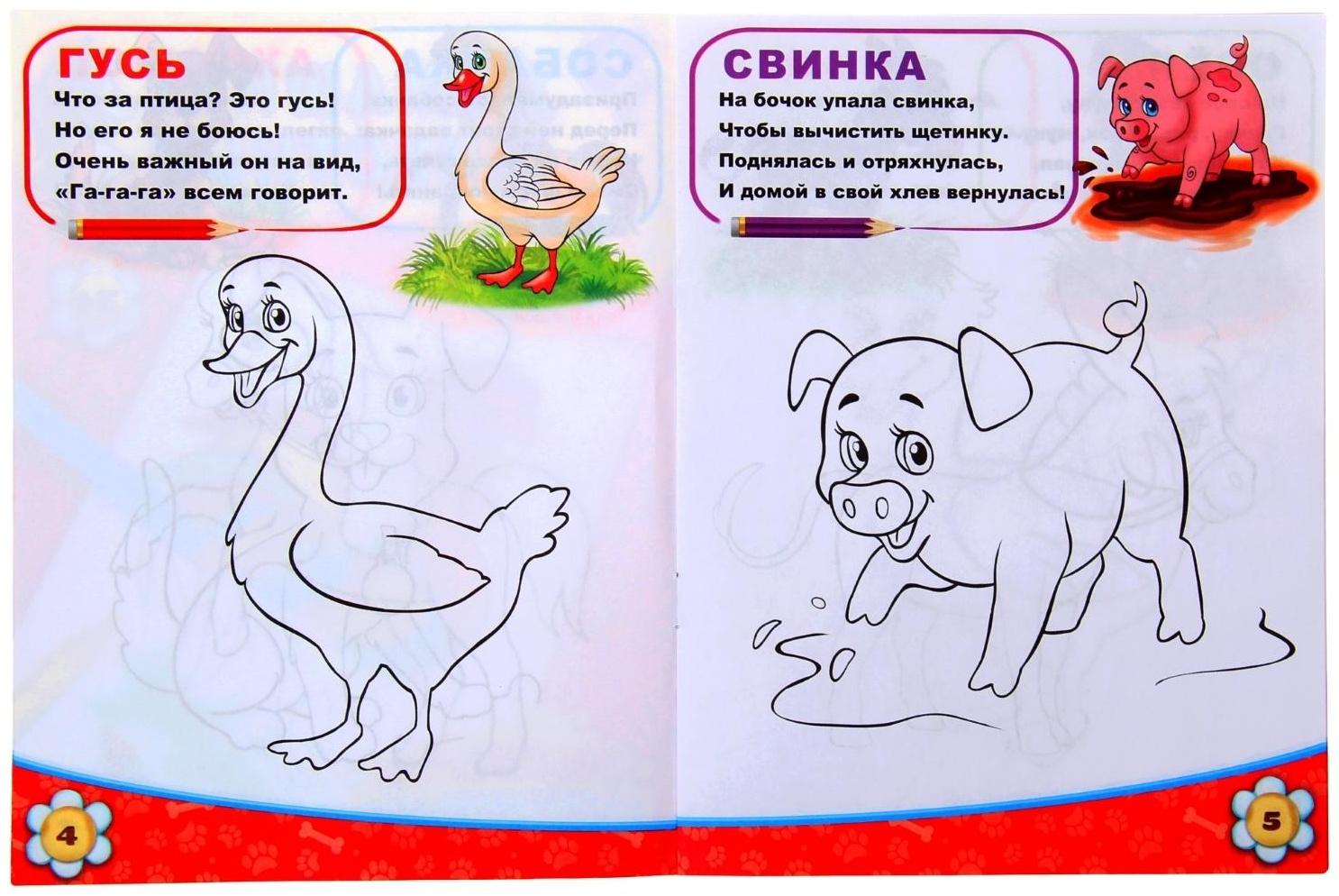 Раскраска «Домашние животные», 12 стр.