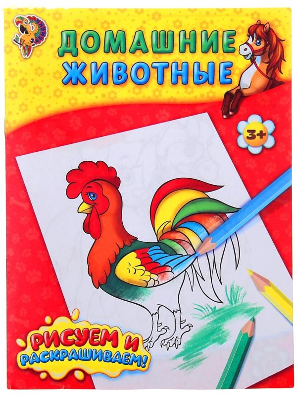 Раскраска «Домашние животные», 12 стр.