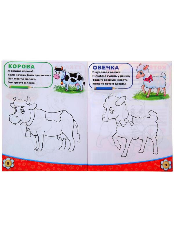 Раскраска «Домашние животные», 12 стр.