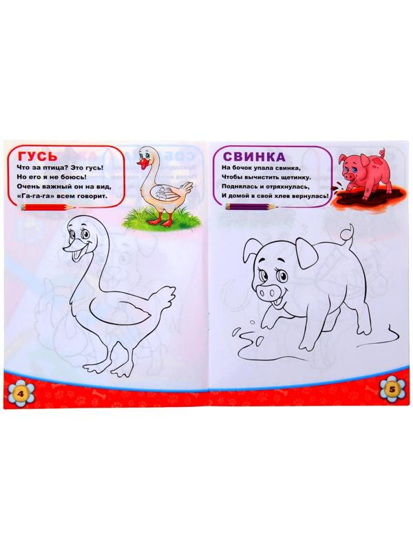 Раскраска «Домашние животные», 12 стр.