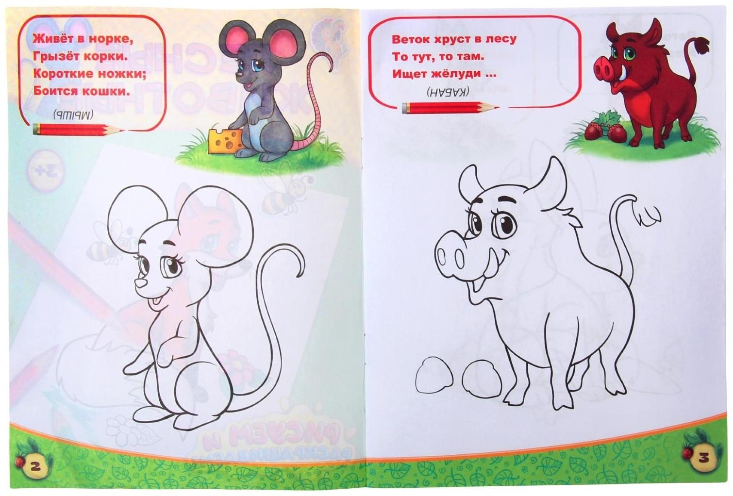 Раскраска «Лесные животные», 12 стр.