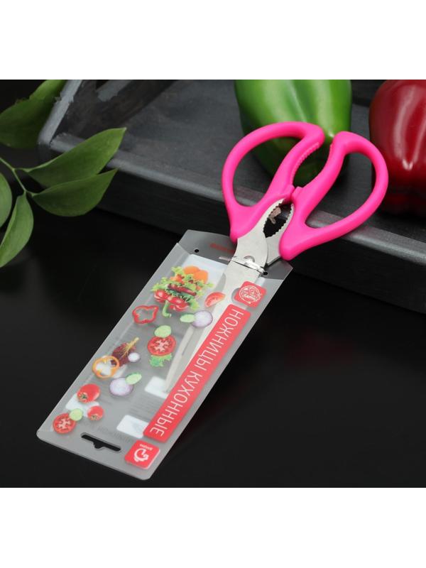 Ножницы кухонные Доляна «Базис», с открывалкой для бутылки, 21 см, цвет МИКС