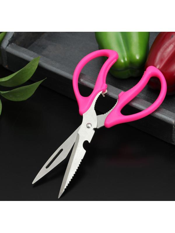 Ножницы кухонные Доляна «Базис», с открывалкой для бутылки, 21 см, цвет МИКС