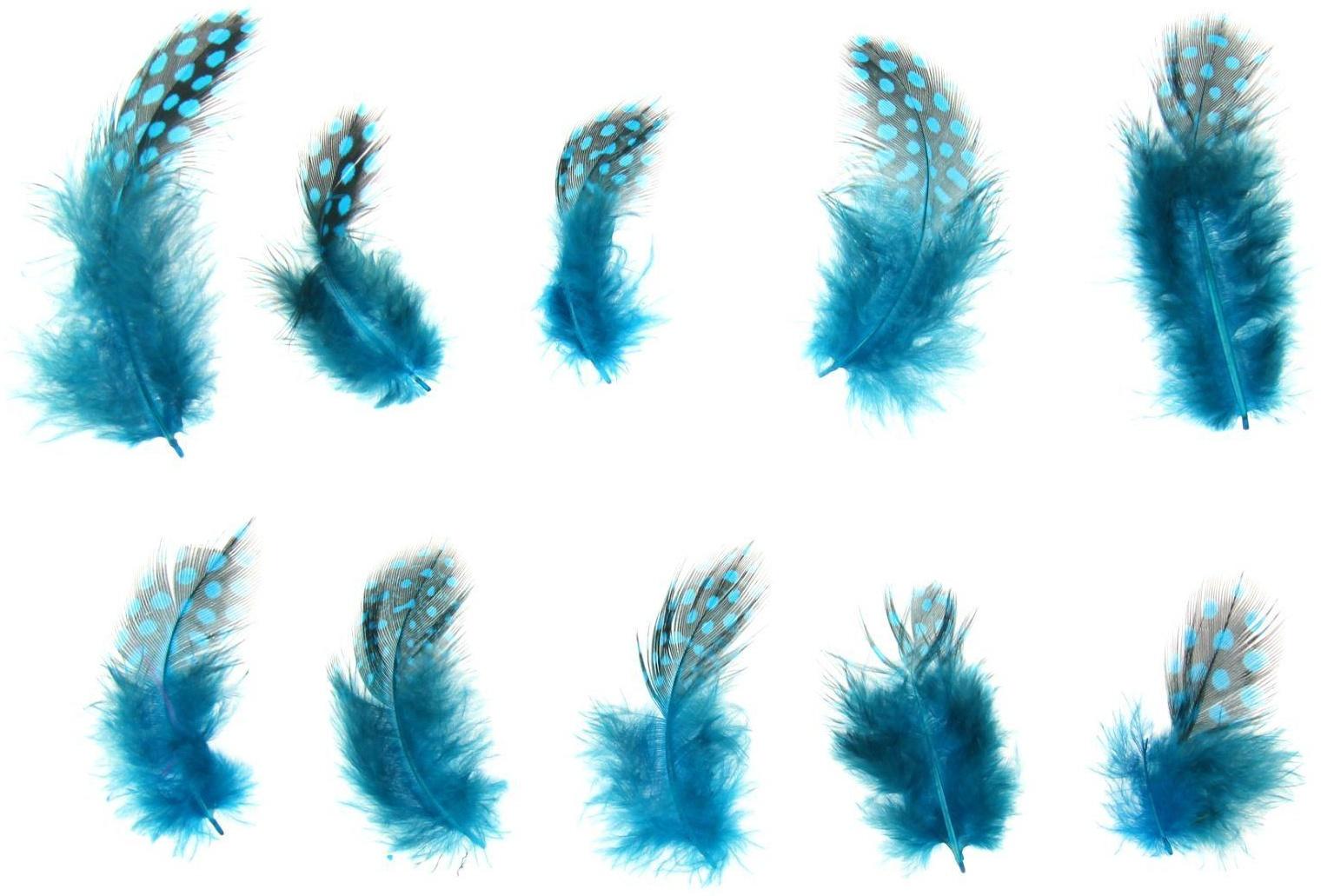 Набор перьев для декора 10 шт., размер 1 шт: 5 × 2 см, цвет бирюзовый с чёрным